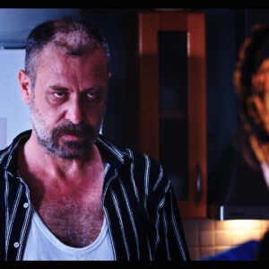 EVCİLİK / PLAY HOUSE