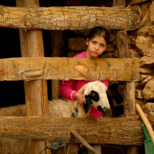 HEVİ /  THE HOPE