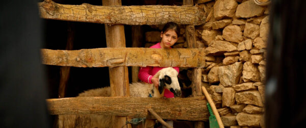 HEVİ /  THE HOPE
